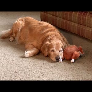 Meet your Posher, Patti